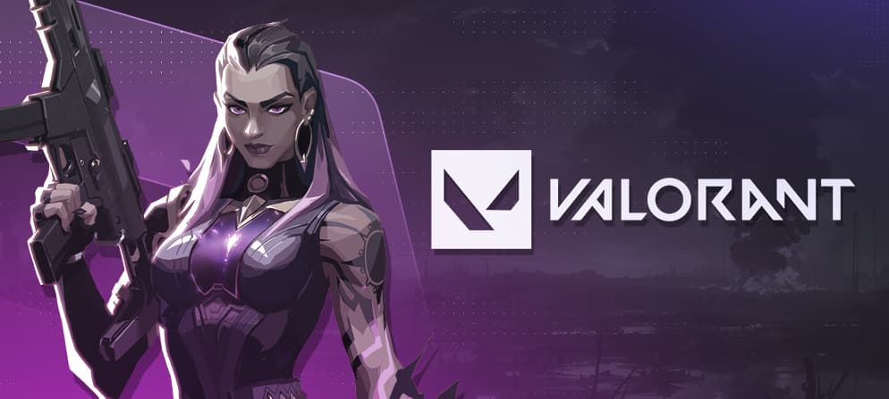Valorant product category