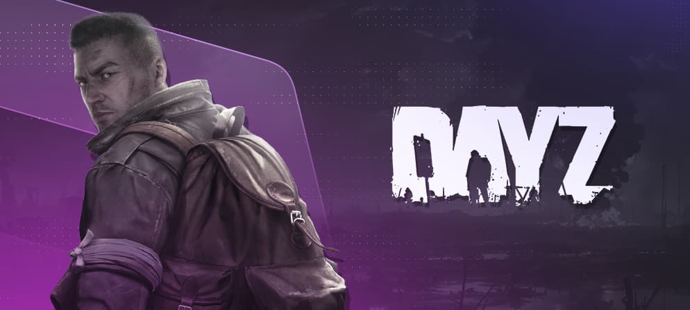 DayZ product category